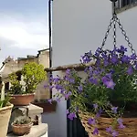 Terzo Campanello - Terrazza Nel Centro Storico דירה